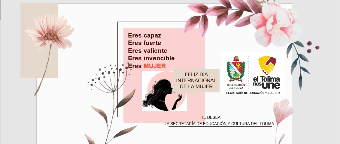 Secretaria De Educacion Y Cultura Del Tolima Sedtolima Gov Co